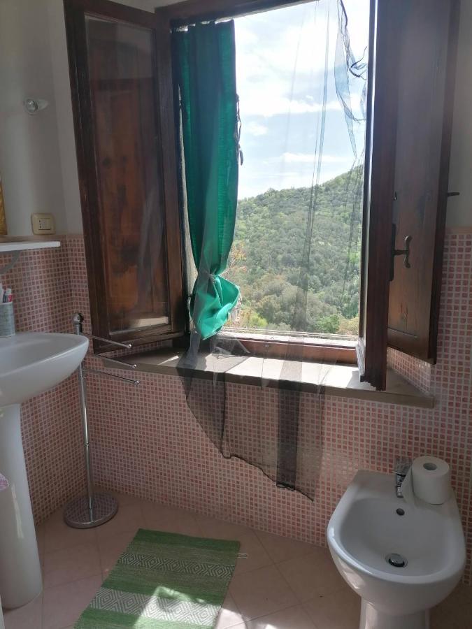 דירות Beahouse: Casa Con Vista A סאסטה מראה חיצוני תמונה